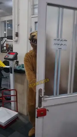 شهێرەی براتان لە جهیم ❤️🦁 #CapCut #acc #foryoupage #شێرەکەیبازیان #شێر 