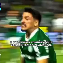 palmeiras tá achando q vai ganhar do. flamengo  #brasileirao #flamengo #palmeiras #libertadores #flamengosempre 