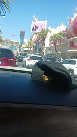 #LIVEIncentiveProgram #GoLIVEGrowFast #PaidPartnership 