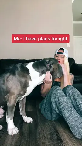 Still valid 🤣. Any excuse to stay home with the dogs and kiddo #dogsoftiktok #funny #relatable #onthisday 