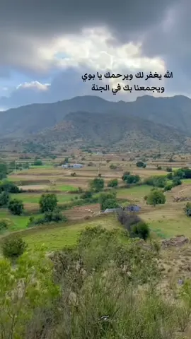 كن في قلبي بعض الاحيان شعلة من حرايق . احمد الرضواني #بني_مالك #فقدان_الاب #اكسبلور #لايك #creatorsearchinsights 