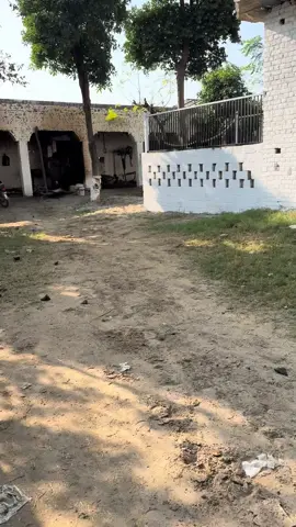 #WarrichStudFarm #mashallah #shoq #unfrezzmyaccount #viral 