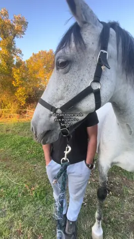 Avec mon papa comme d’hab  #trends #jument #hera #dad #papa 