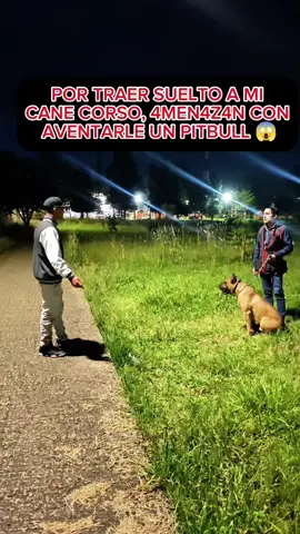 Por traer suelto a mi Cane Corso 4men4zan con aventarle un Pitbull 😱 #perros #educacioncanina #entrenamientocanino #canecorso 