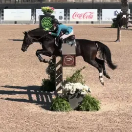 smartie having just one down in the medium jr/ao speed today, super happy with the ride and how he jumped 💗
