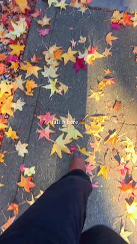 so happy to live somewhere with fall leaves🥺🍁❤️ #fall #autumn #chico #california 