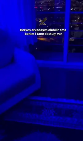 Dostunu etiketle gönder #aslandostum #raconsözleryazın #storiyelikvideolar📌 #kardeşim 