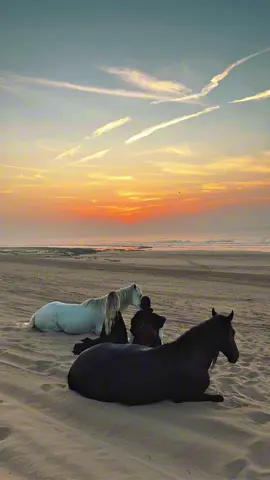 Between sand and sky, we found silence that speaks louder than words. @India Gouveia ❤️ #marrakech #morocco🇲🇦 #fyp #explore #horse 