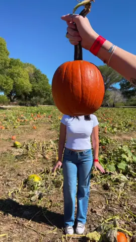 Hashtag fall 🎃