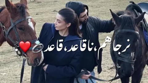 #طبرق_بنغازي_درنه_طرابلس #تصميم_فيديوهات🎶🎤🎬 #الشعب_الصيني_ماله_حل😂😂 #شتاوي_غناوي_علم_ليبيه 