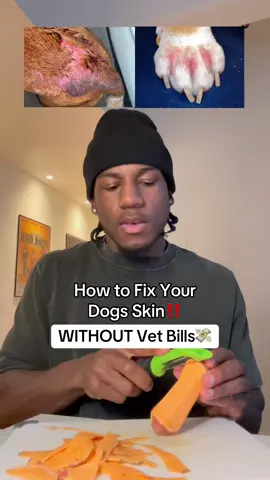 Her skin and fur now are literally a night and day difference just 2 months in #dogcare #dogguthealth #doghealthtips #doghealth #dogsupplements 