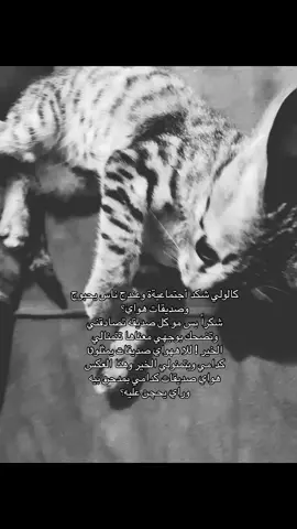 حقيقي؟🤍 #اللهم_صل_على_محمد_وآل_محمد #بدون_موسيقى