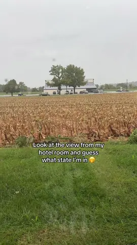 Cornfields 🌽 #guessinggame 