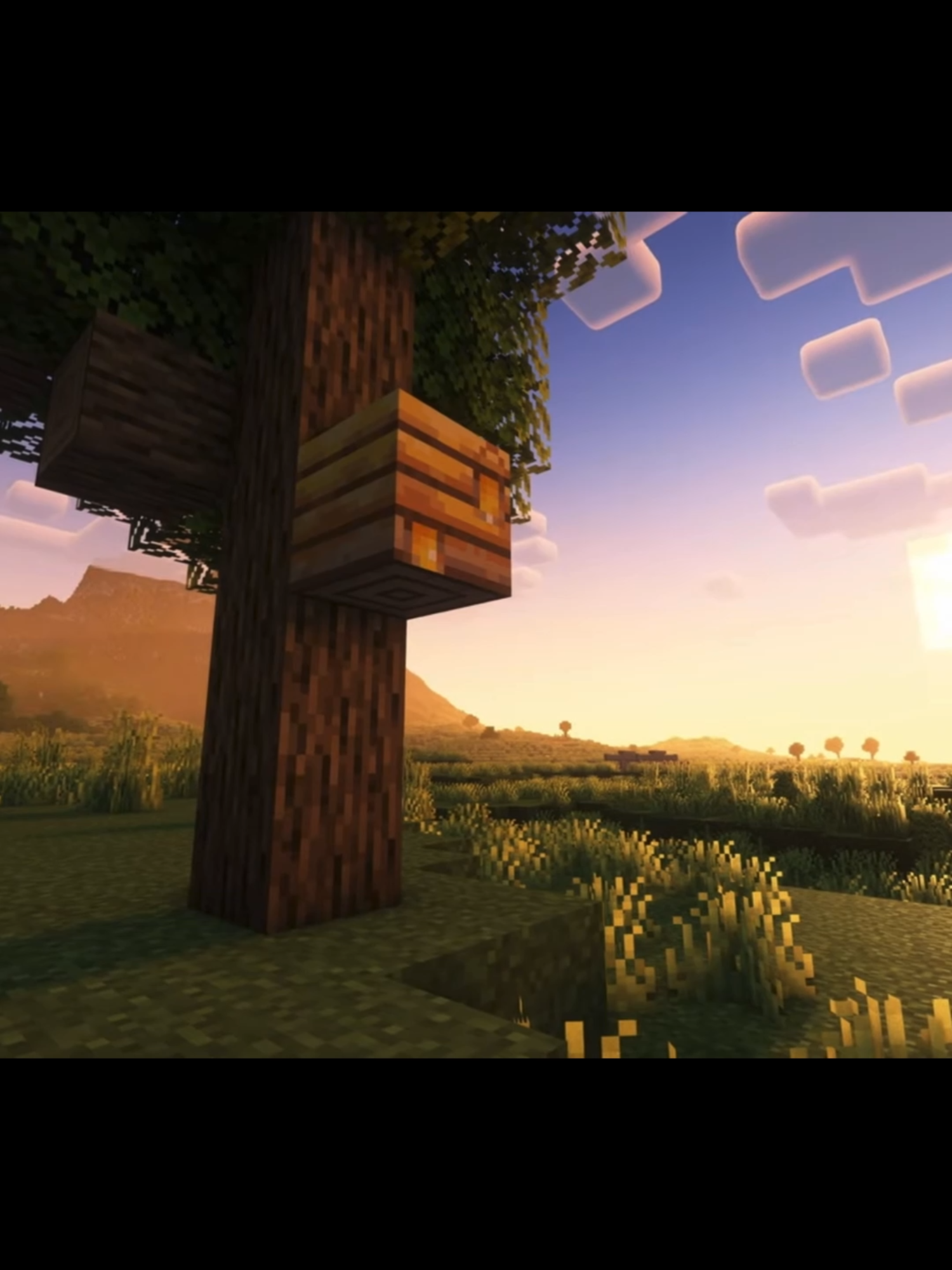 i miss the old minecraft #Minecraft #minecraftedit #minecraftedits #gaming #tiktokgaming #cinematicedit #aestheticedit #viral #fyp