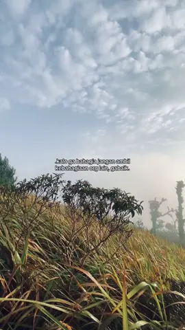 #foryoupage #galaustory 