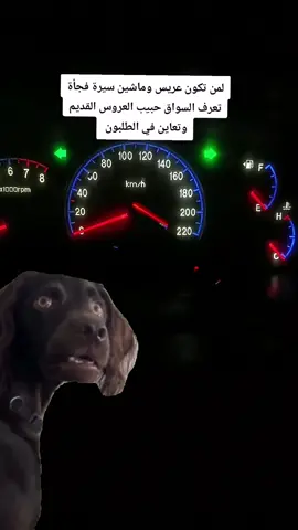 #Meme #MemeCut #CapCut #سودانيز_تيك_توك_مشاهير_السودان #الشعب_الصيني_ماله_حل