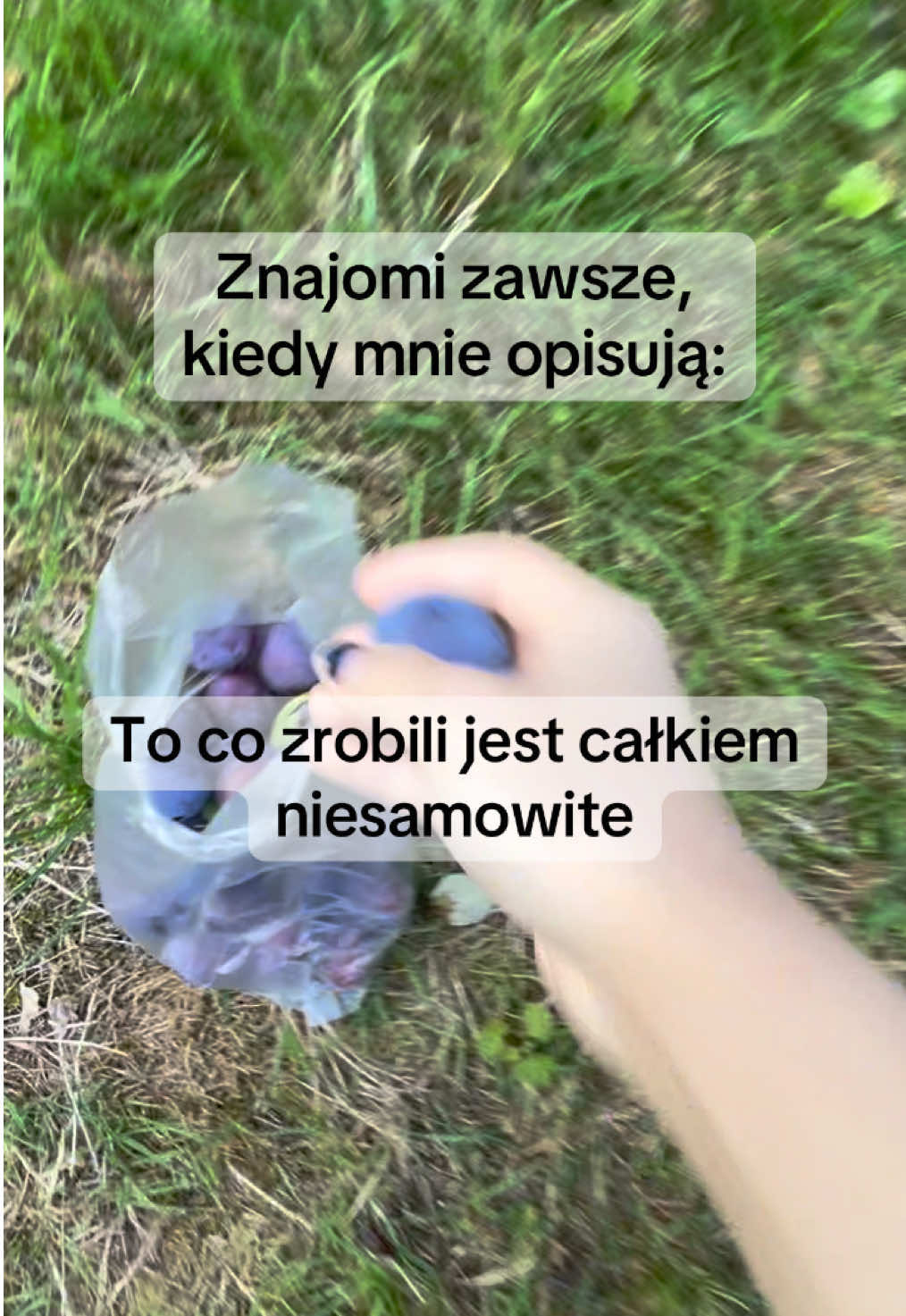#anarchizm #lewica #aktywizm #antykapitalizm #feminizm 