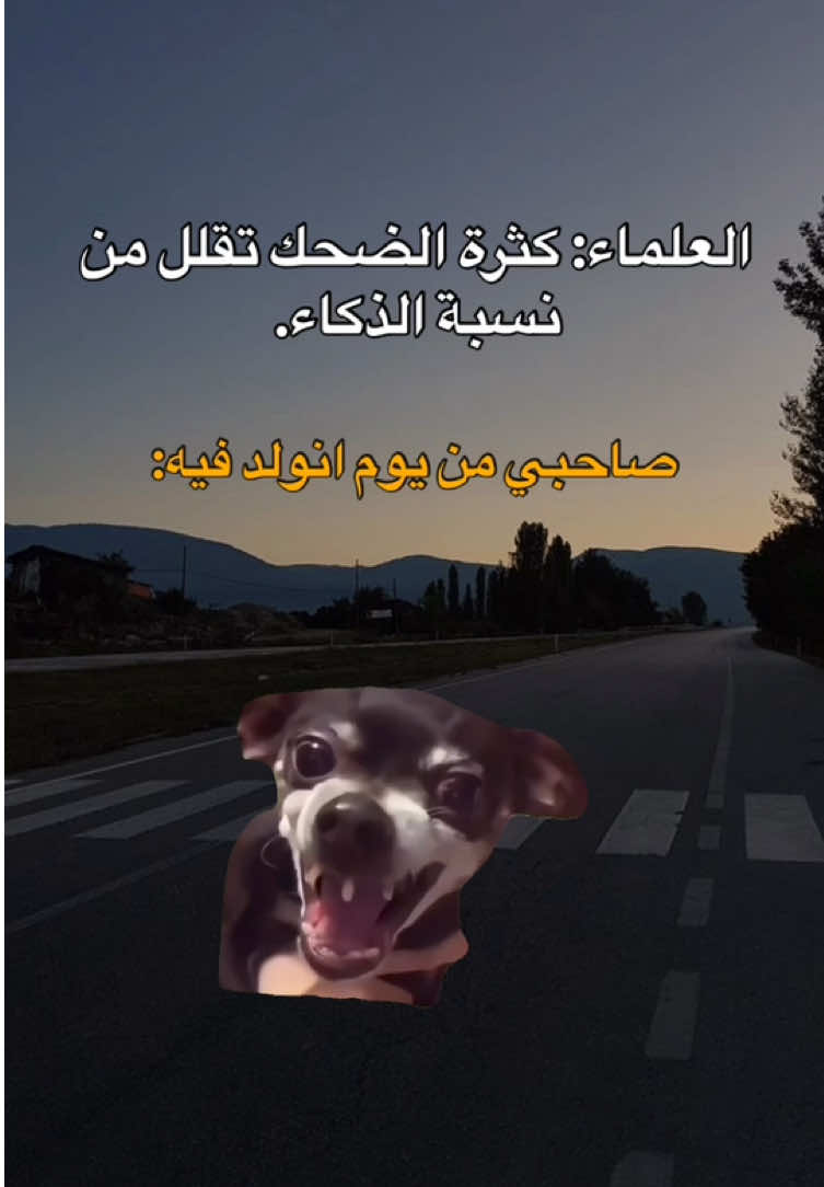 طاقيه🤣🤣🤣. #fyp #viral #explore #الشعب_الصيني_ماله_حل😂😂 #مالي_خلق_احط_هاشتاقات #foryou #memes #منشن_للي_تحبه #طاقيه_طاقيها😁❤️💍 #حقيقة #ميمز_العرب 
