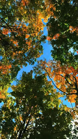 #природа #небо #жизнь#музыка #осень 