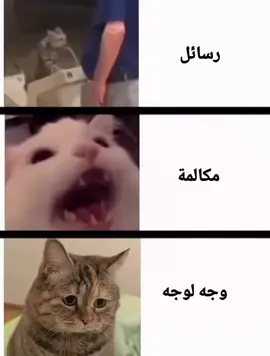 رسائل