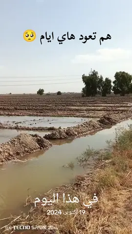 #في هذا اليوم #تصويري_احترافي_الاجواء👌🏻🕊😴 #البوعامر🇮🇶🦅 