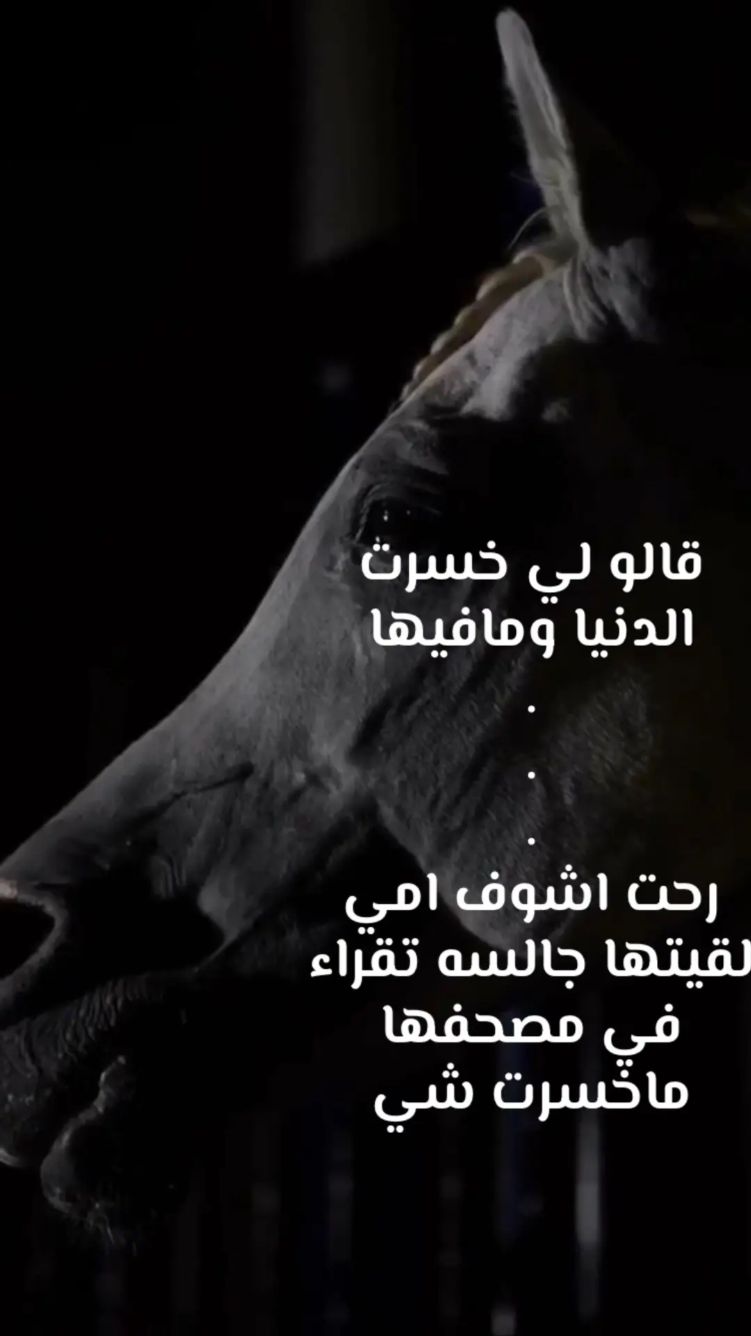 رساله مع التحيه : الى من يهمه الامر : دام امي بخير باقي الناس يتعوضون #مالي_خلق_احط_هاشتاقات #الشعب_الصيني_ماله_حل😂😂 