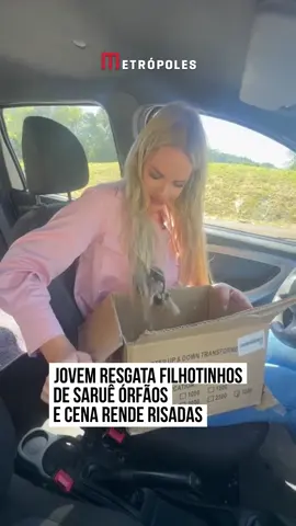 🐀😍 Momento cheio de amor! Um vídeo comovente viralizou nas redes ao mostruma jovem resgatando filhotes órfãos de saruê. Os pequenos estavam desamparados quando foram encontrados, e graças à atitude rápida e cuidadosa de Bruna, ganharam uma nova chance de sobreviver.  Ela acolheu os bichinhos com muito carinho e passou a cuidar deles, garantindo calor, alimentação e segurança. 💚 #entretênews 📹 brumolz | @myhoodbr