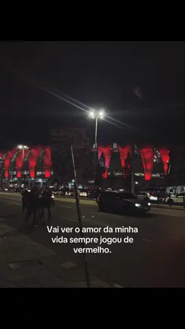 Não da pra explicar o que o inter significa pra mim. SCI❤️ #fy #scinternacional🇦🇹 #intermaiordosul🇦🇹 #gremiomenordosul🇪🇪🅱️👻 