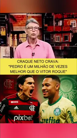 E aí pessoal concorda com o o Neto? #flamengo #mengao #palmeiras #brasil🇧🇷 #classico 