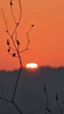 Was hoping for a green flash, but got a black hole sun...