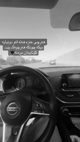 #shina_01 #surchi 