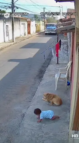 Esse caramelo salvou o bebê @alexdoprogresso 