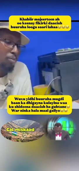Wlh balo aan ka qoslin balo maaha😂😂😂@Yacqwub Siyaad 2029&2039 @Gashanle 187 @Olow ahmed @Ali Samatar @Shiine Culay #puntlander🇸🇱 #woqooyibaristate🐎💙💚 #hartinimo💏🇺🇿🐎🙏 #somaliwayn #laasacaanood 