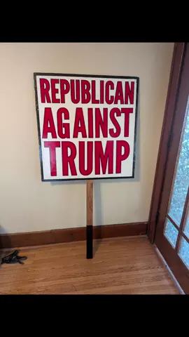 I'm a Republican Against Trump who attended the No Kings rally today. This was my experience. #50501 #buildtheresistance #nokings  #tribalism #dumptrump 