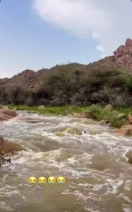#في هذا اليوم 