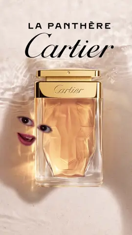 ✨🐆Cartier La Panthère İnceleme 🐆✨ (Reklam* değildir) Bugün Cartier La Panthère üzerine konuşuyoruz 🐆✨  Gardenya, misk ve odunsu dokunuşların birleştiği; hem zarif hem de güçlü hissettiren bir koku. Cartier’nin panter sembolünü parfüme taşıyan bu özel yorumun benim için yeri çok ayrı. Daha fazla parfüm incelemesi için takip etmeyi unutmayın.☺️🫶🏻✨ #cartier #parfumviral #parfumtiktok #perfume #fragrance 