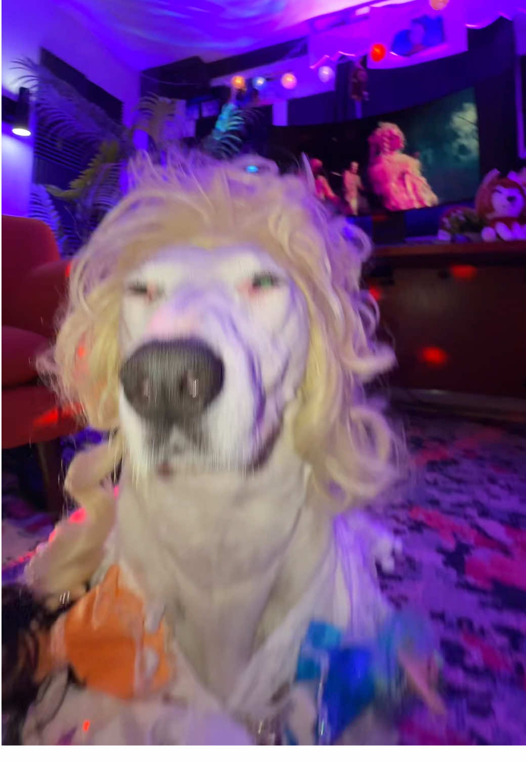 For @ladygaga #ladygaga #ladygagavideos #ladygagaedit #dance #halloween 