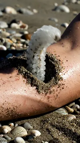 【ASMR】A glass Sandworm from a clam digger's arm | Un ver des sables en verre du bras d'un pêcheur de palourdes | หนอนทรายแก้วจากแขนของคนขุดหอย | 潮干狩りをする人の腕から現れるガラスのゴカイ #ASMR #ThePoreLab #Sandworm #Glass #ClamDigger