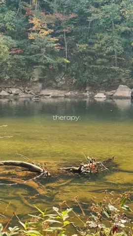 Sometimes I feel like a leaf in the middle of the water trying to find my way. Thankful to have this piece of heaven to escape to when life gets hard.#mentalhealthmatters #depressionanxiety #peace #over40 #menopause 