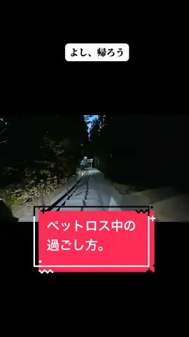 ちょっとホラー映像っぽいの流れるけどいたって真面目。自分のために生きるのってつまんないかも#ペットロス#猫のいる暮らし 