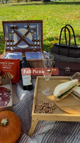 Fall Picnic w my lover 🧺🍂🤎 #fallpicnic #fall #autumn #picnicdate #fallaesthetic 