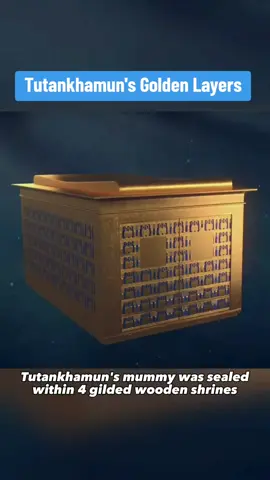 Tutankhamun's Golden Layers #History #ancientegypt #tutankhamun 