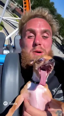 😂😂😂#fyp #lethabridgesburn #