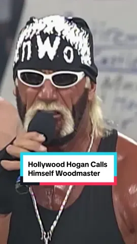I just realized Hollywood Hogan called himself “the Woodmaster” and “Woody” because it’s short for Hollywood. 