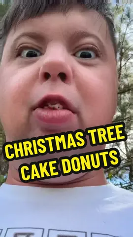 I think little Debbie should put us in a commercial at this point #devin #littledebbiechristmastreecakes #comedyskit 
