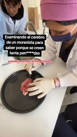 jajaja #morena #claudiasheimbaum 
