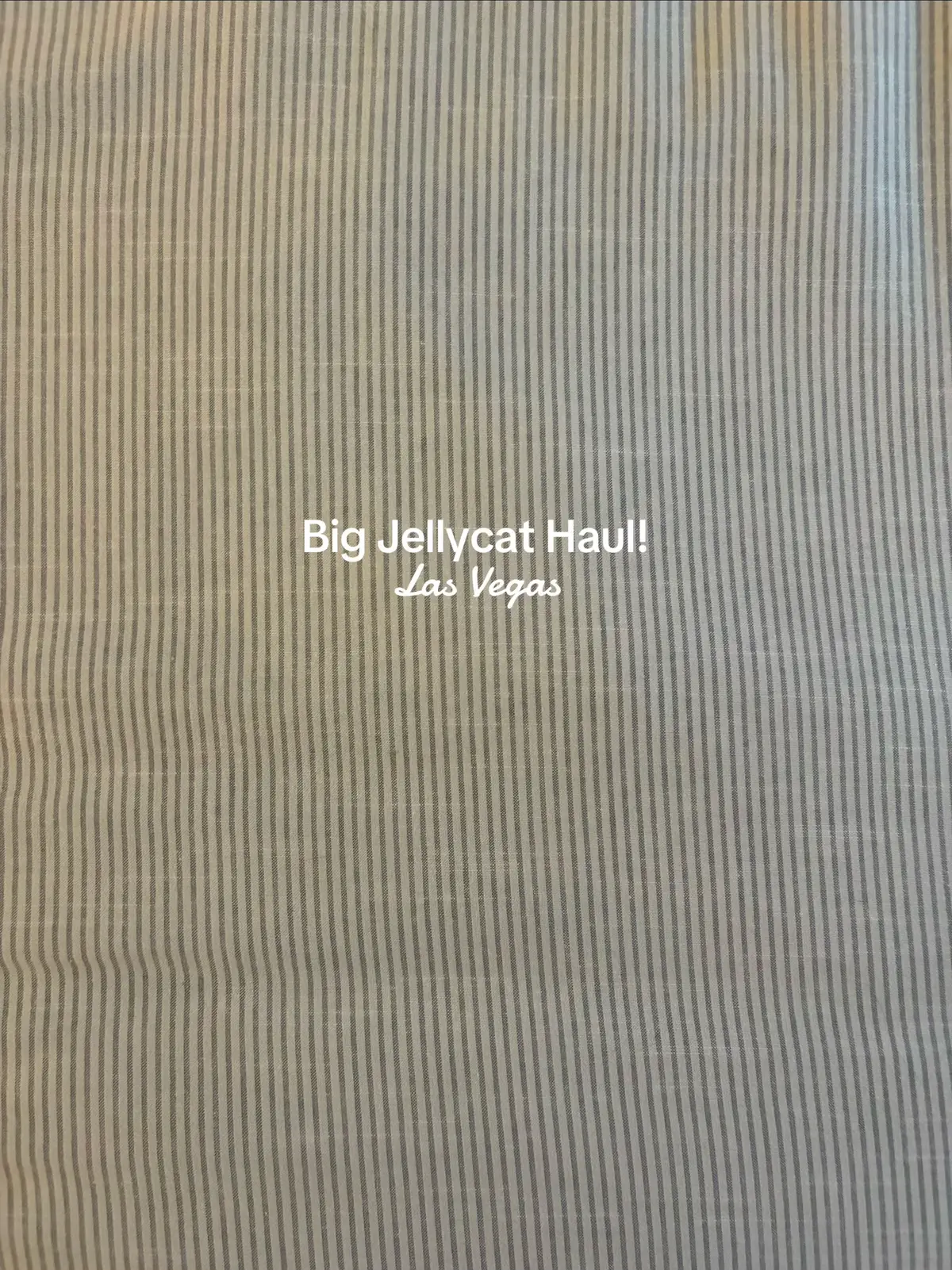 #jellycat #jellycats #jellycathaul #haul #lasvegas 