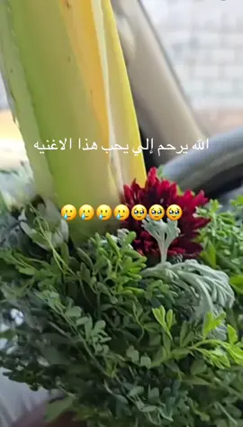 #في هذا اليوم 