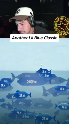 another Lil blue classic  #rydurz #biggestfish #kickstreaming #bluefish #bigfish 