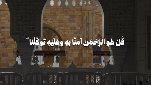 #قران #قران_كريم #quran #بدر_التركي 